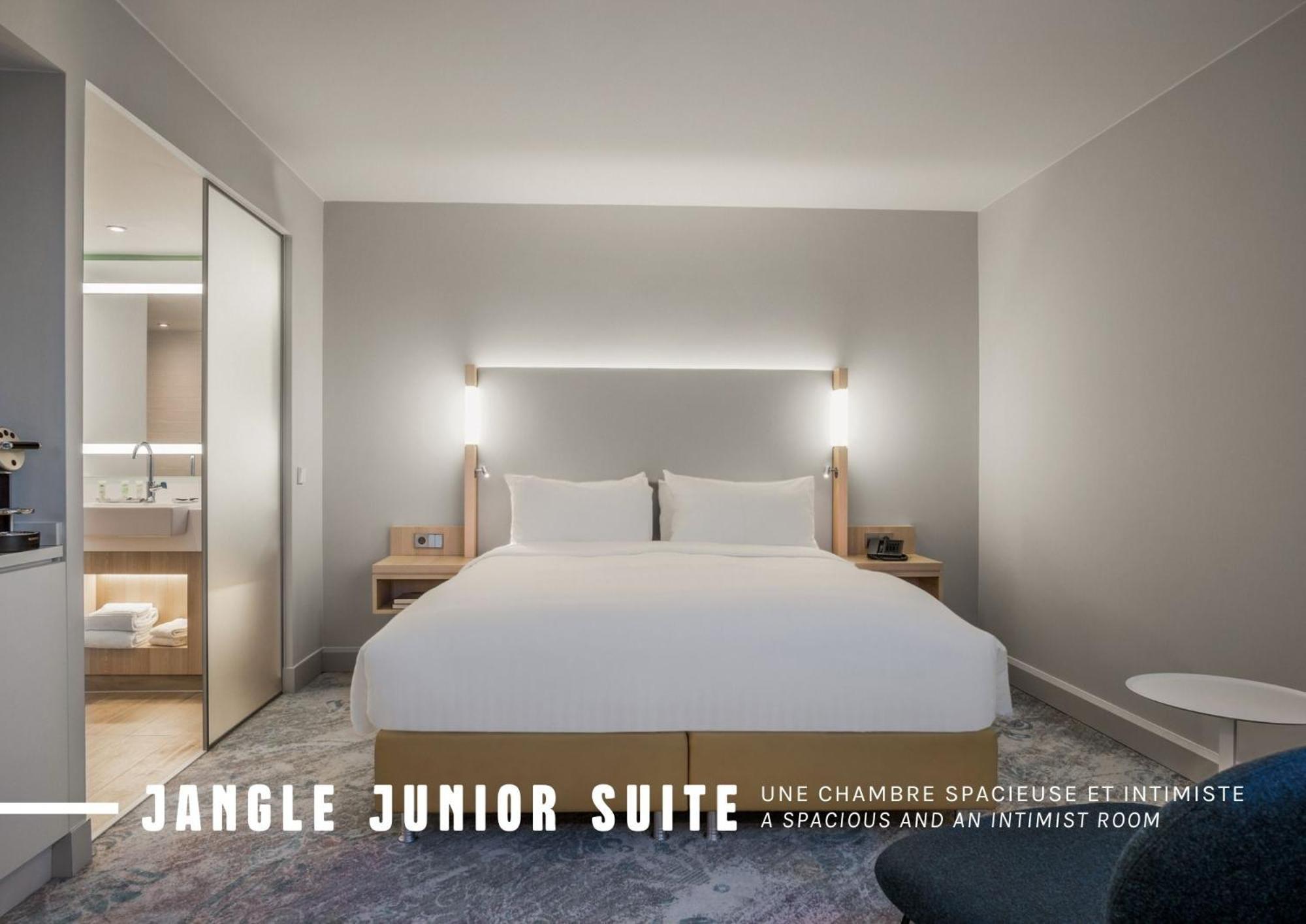Junior King Suite Sofa Bed Airport Shuttle